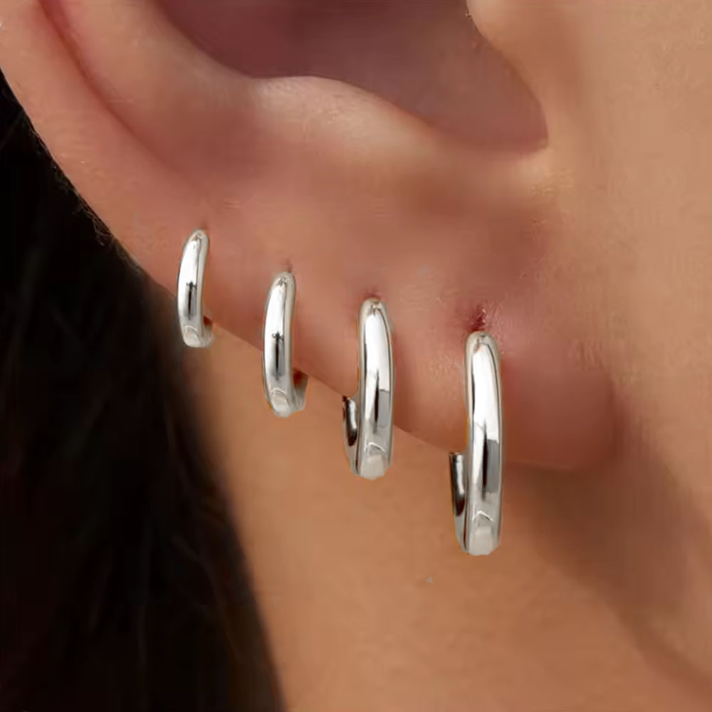 4Pairs/4Pcs Stainless Steel Ci - Helix Cartilage Ring recension och pris